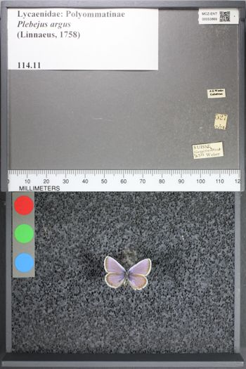 Media type: image;   Entomology 53869